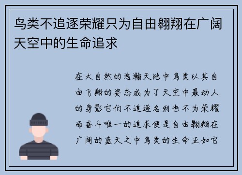 鸟类不追逐荣耀只为自由翱翔在广阔天空中的生命追求